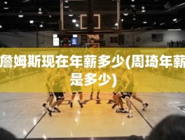 詹姆斯现在年薪多少(周琦年薪是多少)