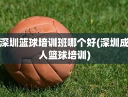 深圳篮球培训班哪个好(深圳成人篮球培训)