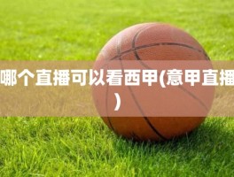 哪个直播可以看西甲(意甲直播)