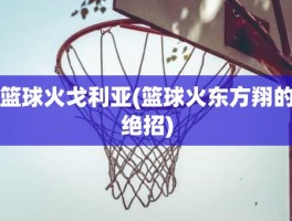 篮球火戈利亚(篮球火东方翔的绝招)