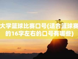 大学篮球比赛口号(适合篮球赛的16字左右的口号有哪些)