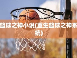 篮球之神小说(重生篮球之神系统)