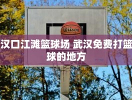 汉口江滩篮球场 武汉免费打篮球的地方