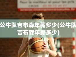 公牛队吉布森年薪多少(公牛队吉布森年薪多少)