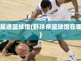 星途篮球馆(野球帝篮球馆在哪)