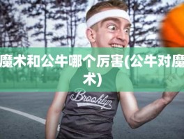 魔术和公牛哪个厉害(公牛对魔术)