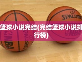 篮球小说完结(完结篮球小说排行榜)