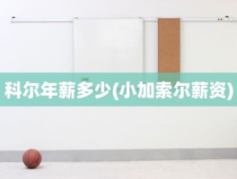 科尔年薪多少(小加索尔薪资)