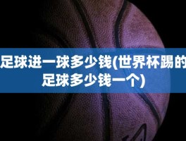 足球进一球多少钱(世界杯踢的足球多少钱一个)