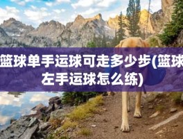 篮球单手运球可走多少步(篮球左手运球怎么练)
