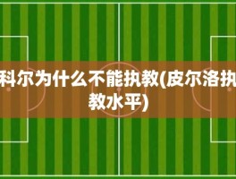 科尔为什么不能执教(皮尔洛执教水平)