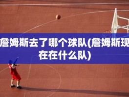 詹姆斯去了哪个球队(詹姆斯现在在什么队)