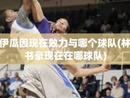 伊瓜因现在效力与哪个球队(林书豪现在在哪球队)