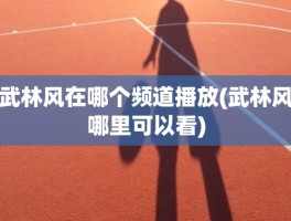 武林风在哪个频道播放(武林风哪里可以看)
