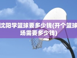 沈阳学篮球要多少钱(开个篮球场需要多少钱)