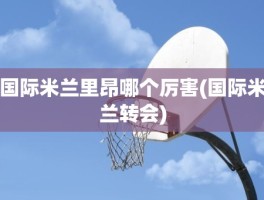 国际米兰里昂哪个厉害(国际米兰转会)