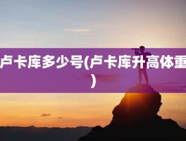 卢卡库多少号(卢卡库升高体重)