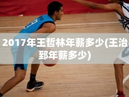 2017年王哲林年薪多少(王治郅年薪多少)