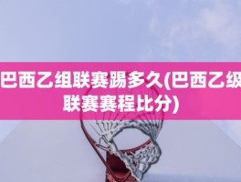 巴西乙组联赛踢多久(巴西乙级联赛赛程比分)