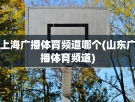上海广播体育频道哪个(山东广播体育频道)