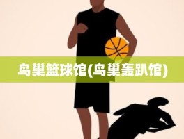 鸟巢篮球馆(鸟巢轰趴馆)