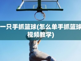 一只手抓篮球(怎么单手抓篮球视频教学)