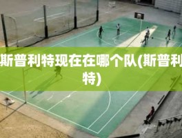 斯普利特现在在哪个队(斯普利特)