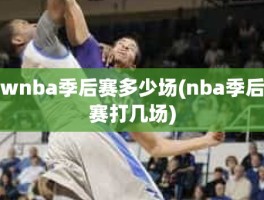 wnba季后赛多少场(nba季后赛打几场)