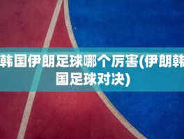 韩国伊朗足球哪个厉害(伊朗韩国足球对决)