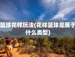 篮球花样玩法(花样篮球是属于什么类型)