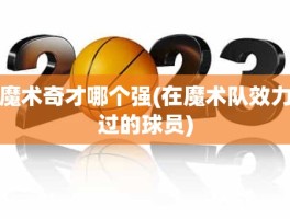 魔术奇才哪个强(在魔术队效力过的球员)