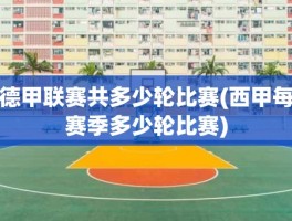 德甲联赛共多少轮比赛(西甲每赛季多少轮比赛)