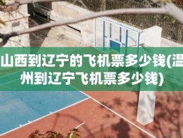 山西到辽宁的飞机票多少钱(温州到辽宁飞机票多少钱)
