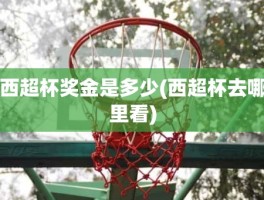 西超杯奖金是多少(西超杯去哪里看)