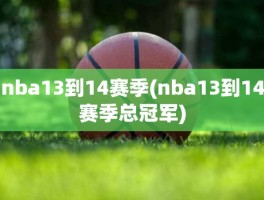 nba13到14赛季(nba13到14赛季总冠军)