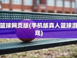 篮球网页版(手机版真人篮球游戏)