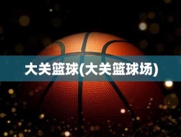 大关篮球(大关篮球场)