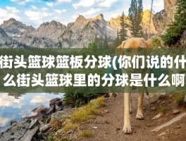 街头篮球篮板分球(你们说的什么街头篮球里的分球是什么啊难道不是技能么)