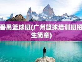 番禺篮球班(广州篮球培训班招生简章)
