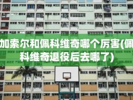 加索尔和佩科维奇哪个厉害(佩科维奇退役后去哪了)