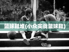 篮球鞋堆(小众实战篮球鞋)