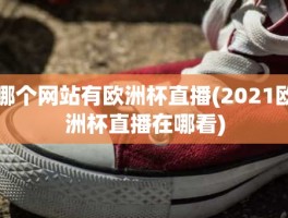 哪个网站有欧洲杯直播(2021欧洲杯直播在哪看)