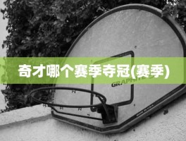 奇才哪个赛季夺冠(赛季)