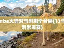 nba火箭对马刺哪个台播(13马刺常规赛)