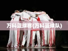 万科篮球赛(万科篮球队)