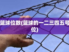 篮球位数(篮球的一二三四五号位)