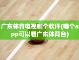 广东体育电视哪个软件(哪个app可以看广东体育台)