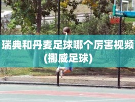 瑞典和丹麦足球哪个厉害视频(挪威足球)