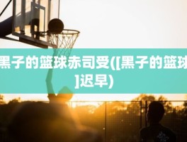 黑子的篮球赤司受([黑子的篮球]迟早)