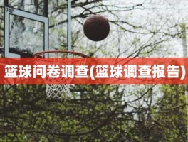 篮球问卷调查(篮球调查报告)